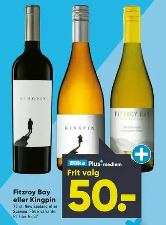 Bilka Fitzroy Bay eller Kingpin tilbud