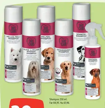 Shampoo 250 ml