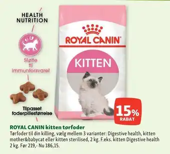 Royal canin kitten tørfoder