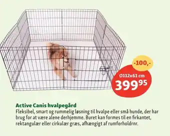 Active canis hvalpegård