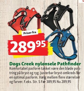 Maxi Zoo Dogs creek nylonsele pathfinder tilbud