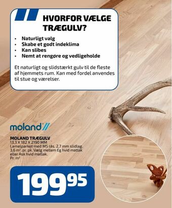 Moland trægulv