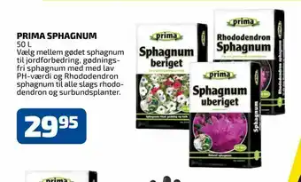 Davidsen Prima sphagnum tilbud