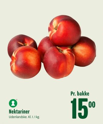 Nektariner
