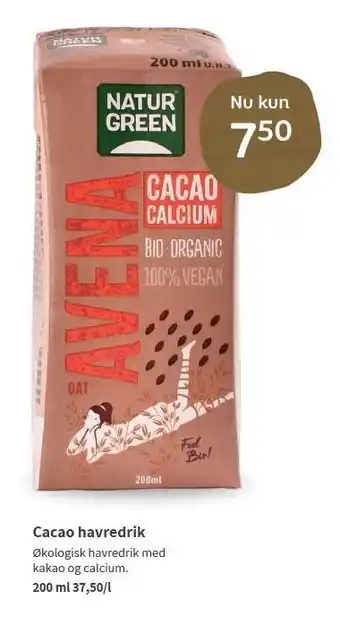 Cacao havredrik