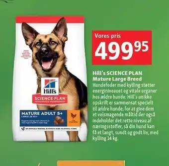 Maxi Zoo Hill's science plan mature large breed tilbud