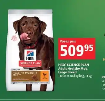 Maxi Zoo Hill's science plan adult healthy mob. large breed tilbud