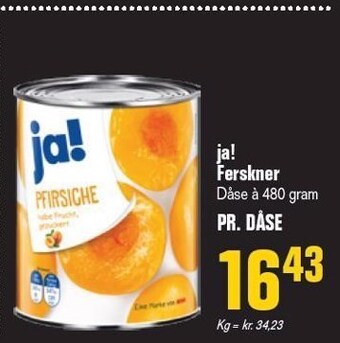 Poetzsch Padborg Ja! ferskner tilbud