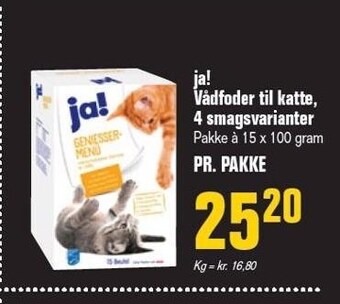 Poetzsch Padborg Ja! vådfoder til katte, 4 smagsvarianter tilbud