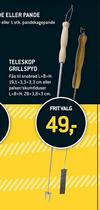 Teleskop grillspyd
