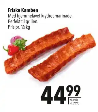 Friske kamben