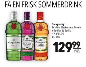 Citti Tanqueray Dry Gin Blackcurrent Royale Eller Flor de Sevilla tilbud