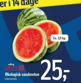 Føtex Økologisk vandmelon tilbud