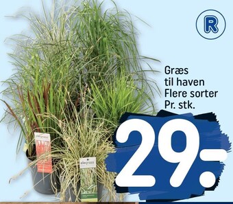 Græs til haven