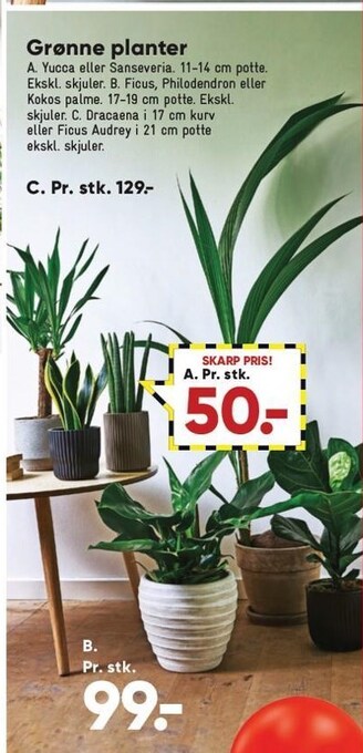 Bilka Grønne planter tilbud