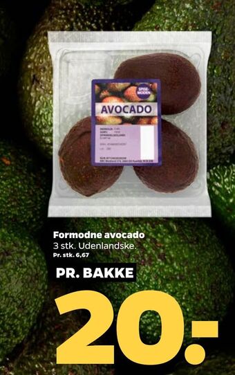 Netto Formodne avocado tilbud