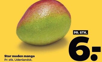 Netto Mango tilbud