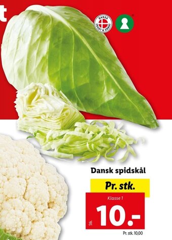 Lidl Dansk Spidskål tilbud