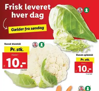 Lidl Dansk blomkål el. dansk spidskål tilbud