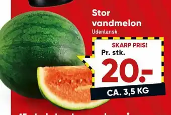 Bilka Stor Vandmelon tilbud