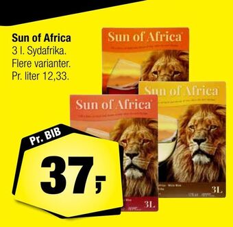 Calle Sun of africa tilbud