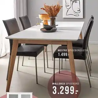 Mallorca spisebord og mestre spisebordsstol