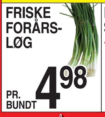 ABC Lavpris Friske forårsløg tilbud
