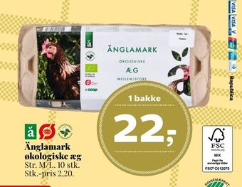 Dagli'Brugsen Änglamark økologiske æg tilbud