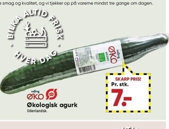 Bilka Økologisk agurk tilbud
