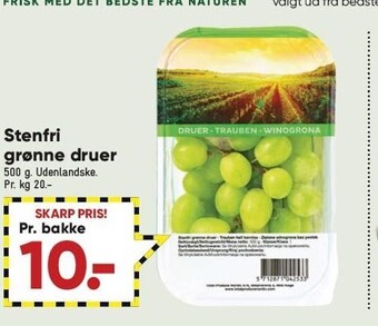 Bilka Stenfri grønne druer tilbud