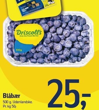 Blåbær