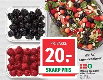 SPAR Danske brombær el. hindbær tilbud