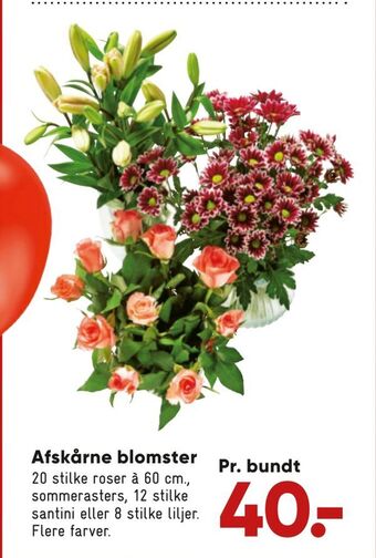 Bilka Afskårne blomster tilbud