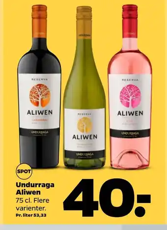 Netto Undurraga aliwen tilbud