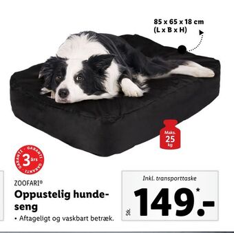 Lidl Oppustelig hundeseng tilbud