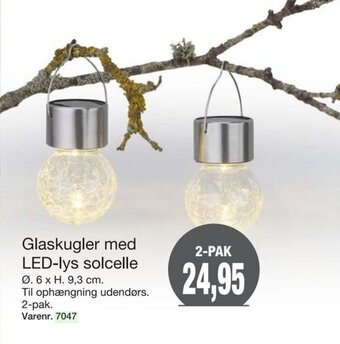 Harald Nyborg Glaskugler Med LED-Lys Solcelle tilbud