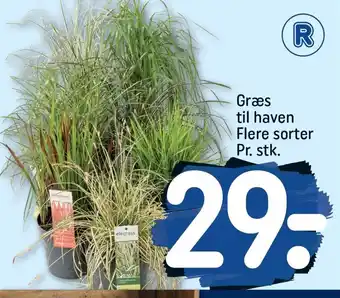 REMA 1000 Græs Til Haven Flere Sorter tilbud