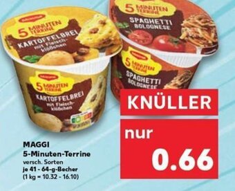 Maggi 5-Minuten-Terrine