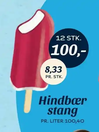 Hindbær stang