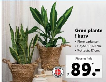 Lidl Ukendt planter tilbud