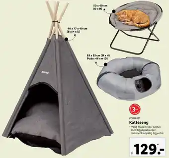 Zoofari Katteseng