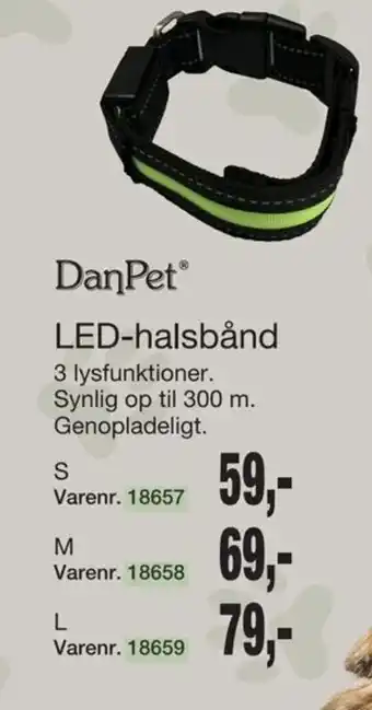 Dan Pet LED-Halsbånd
