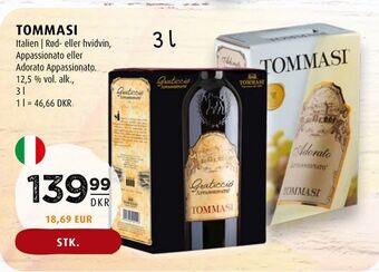 Scandinavian Park Tommasi tilbud