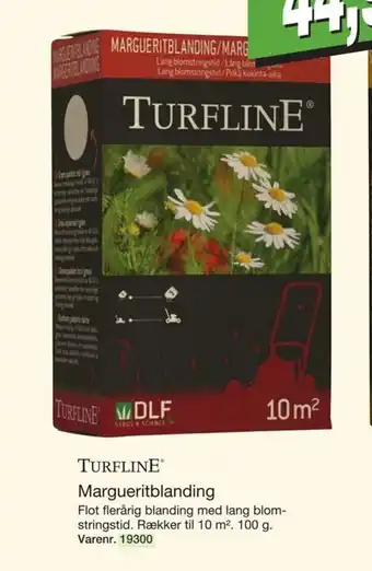 Harald Nyborg Turfline Mangueritblanding tilbud
