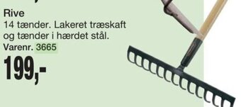 Harald Nyborg Rive tilbud