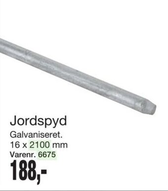 Jordspyd