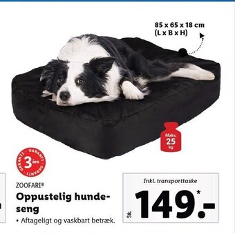 Oppustelig hundeseng