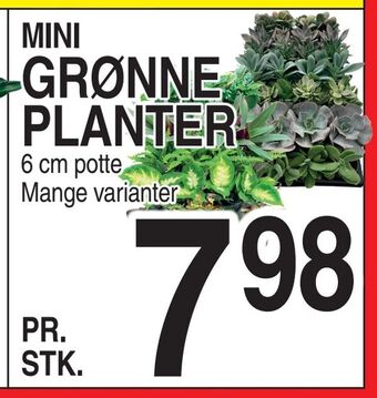 ABC Lavpris Grønne planter tilbud
