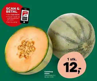 SuperBrugsen Cantaloup melon tilbud