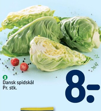 REMA 1000 Dansk spidskål tilbud